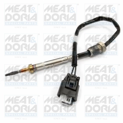 Sensor, exhaust gas temperature